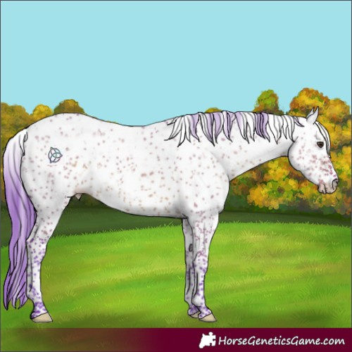 Horse Color:Watercolor Liver Red Dun Sabino