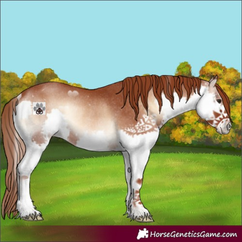 Horse Color:Red Onyx Splash Rabicano