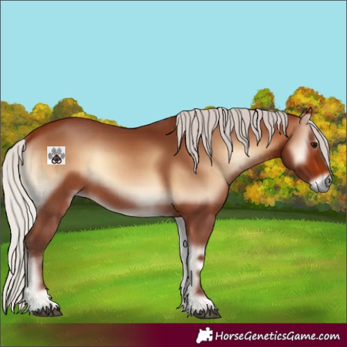 Horse Color:Silver Brown Onyx Rabicano 