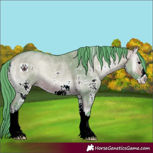 Horse Color:Watercolor Chocolate Bay Onyx Sabino 