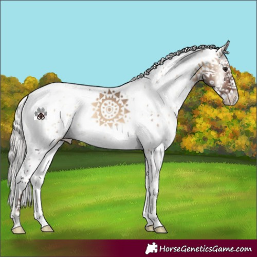 Horse Color:Silver Brown Onyx Sabino 