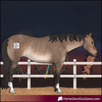 Horse Color:Brown Dun Rabicano