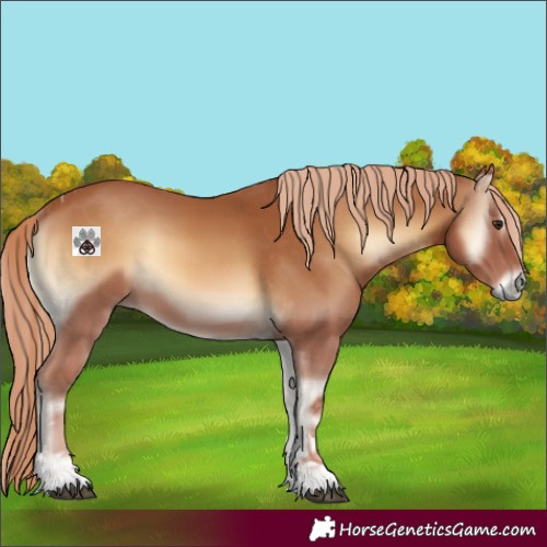 Horse Color:Red Onyx Sabino Tobiano 