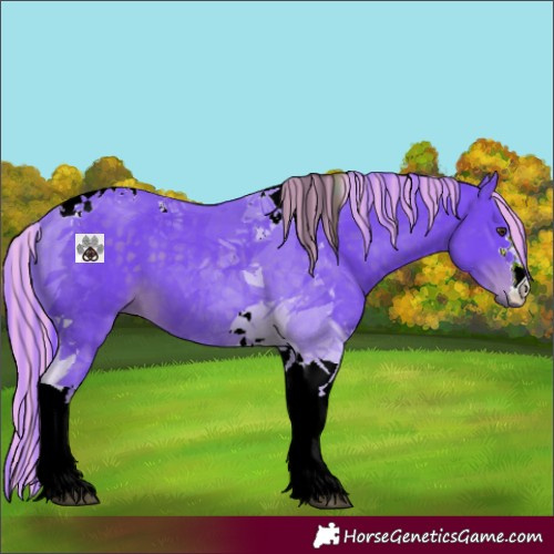 Horse Color:Painted Watercolor Liver Chestnut Tobiano