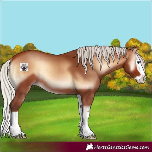 Horse Color:Silver Bay Onyx Splash Rabicano