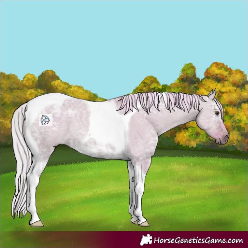 Horse Color:Watercolor Silver Bay Ice Dun Tobiano Rabicano