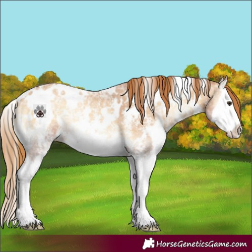 Horse Color:White Spotted Red Onyx Ice Sabino Splash Rabicano