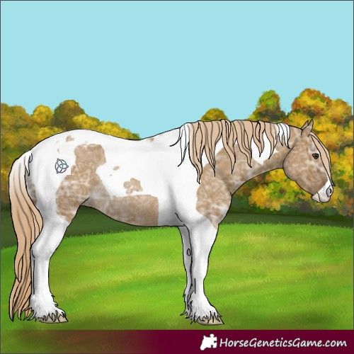 Horse Color:Chocolate Palomino Ice Dun Tobiano Rabicano