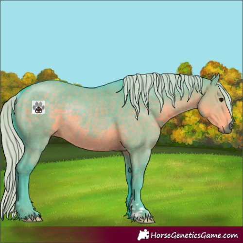 Horse Color:Watercolor Silver Smoky Grullo Rabicano 