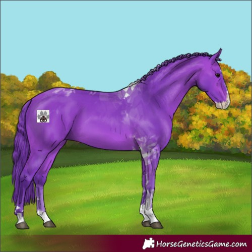 Horse Color:Watercolor Bay Splash Tobiano Rabicano