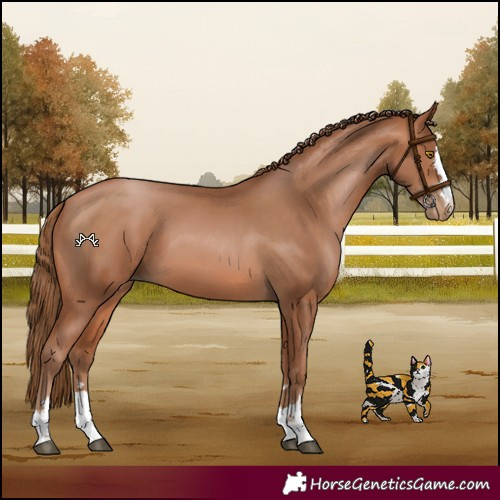 Horse Color:Brown Pearl
