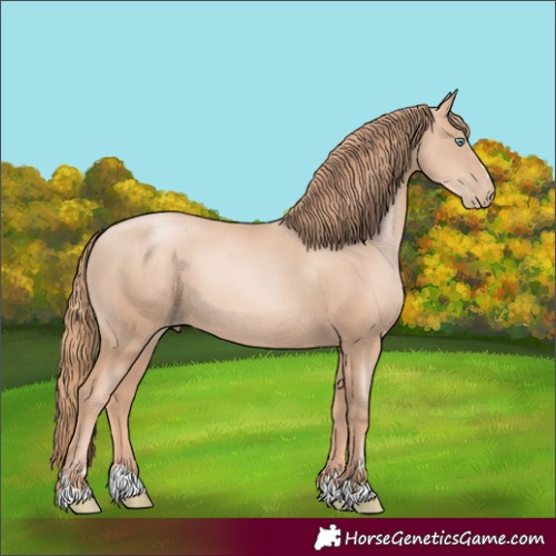 Horse Color:Gold Champagne Pearl