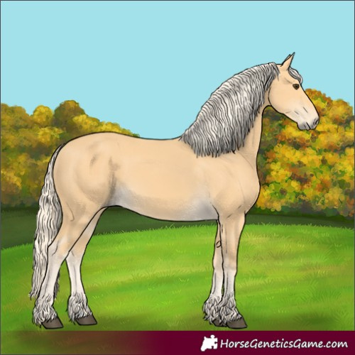 Horse Color:Palomino 