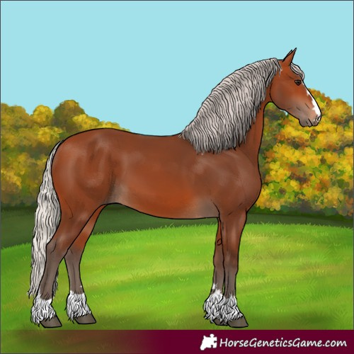 Horse Color:Silver Bay