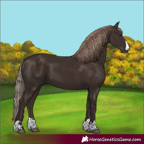 Horse Color:Liver Chestnut 