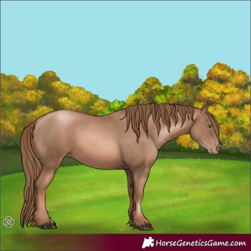 Horse Color:Liver Chestnut Pearl