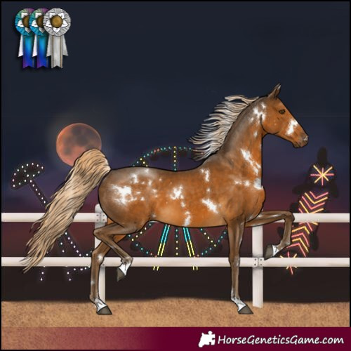 Horse Color:White Spotted Chocolate Palomino 