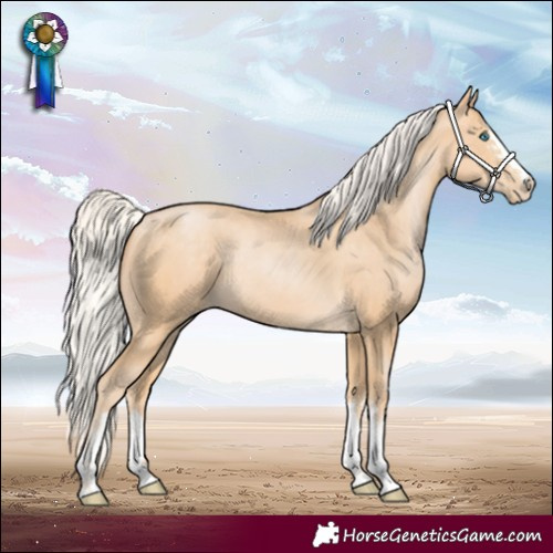 Horse Color:Silver Buckskin Pearl