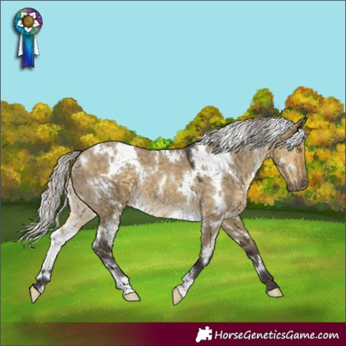 Horse Color:White Spotted Silver Buckskin Dun