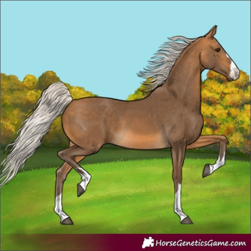 Horse Color:Silver Buckskin 