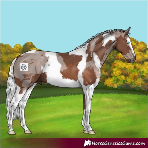 Horse Color:Silver Black Merle 
