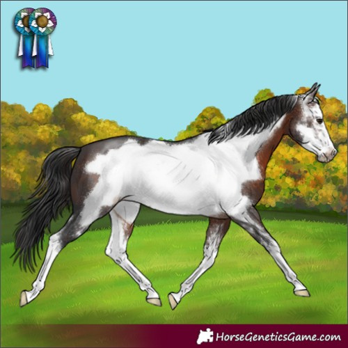 Horse Color:Brown Sabino Frame