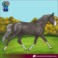 Horse Color:Silver Black Sabino