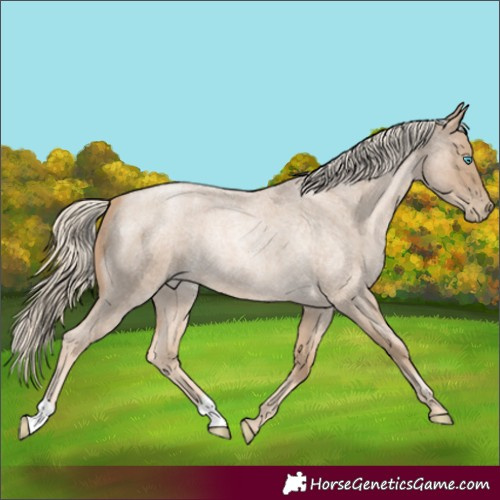 Horse Color:Chocolate Palomino Roan Pearl 