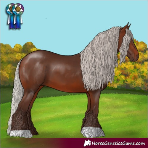 Horse Color:Silver Brown
