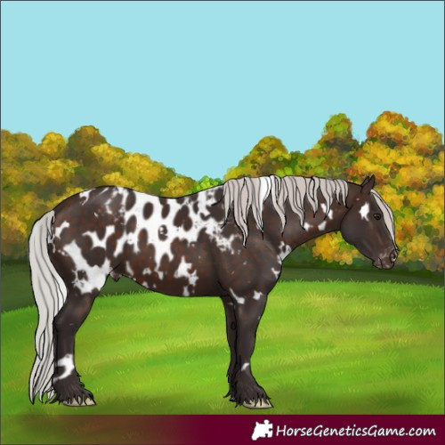 Horse Color:White Spotted Silver Brown Mushroom Skewed LP Spotted 