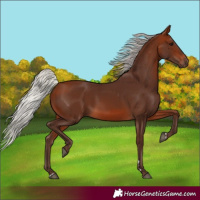 Horse Color:Silver Bay