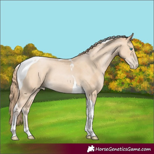 Horse Color:Smoky Black Pearl Merle Tobiano 