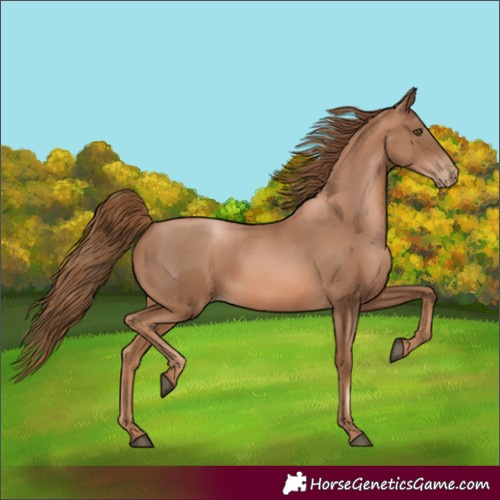 Horse Color:Liver Chestnut Pearl 