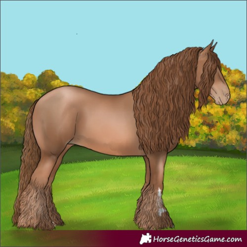 Horse Color:Liver Chestnut Pearl 