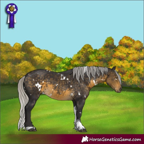 Horse Color:White Spotted Silver Buckskin Tobiano Rabicano 