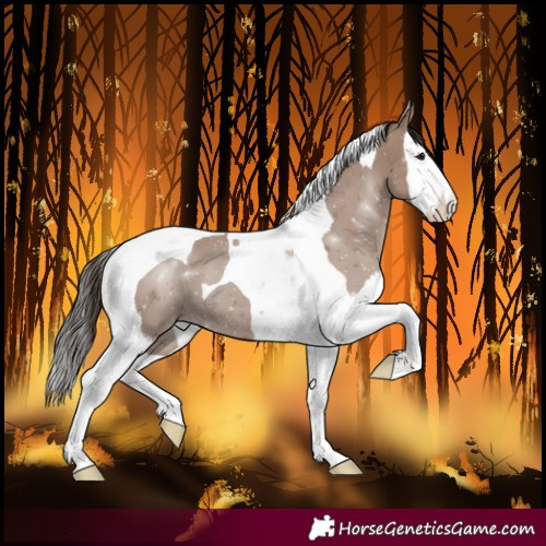 Horse Color:Classic Champagne Splash Tobiano