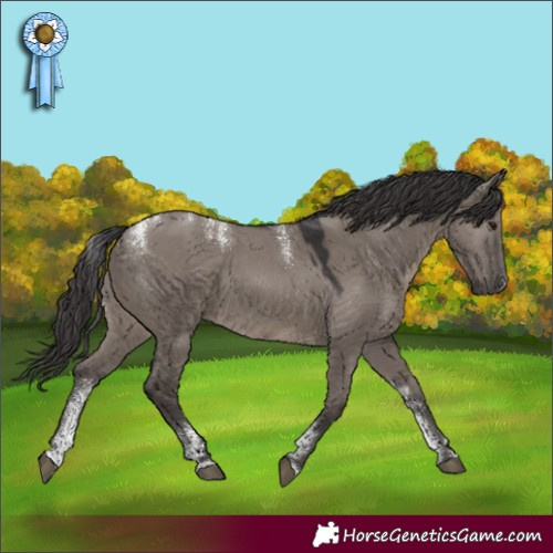 Horse Color:Powder White Smoky Grullo 