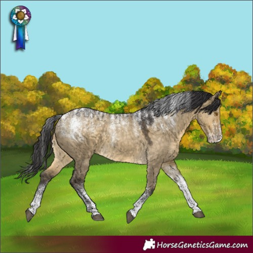 Horse Color:Powder White Buckskin Dun 