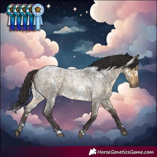 Horse Color:White Spotted Buckskin Roan Dun
