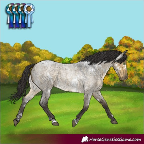 Horse Color:White Spotted Buckskin Roan Dun
