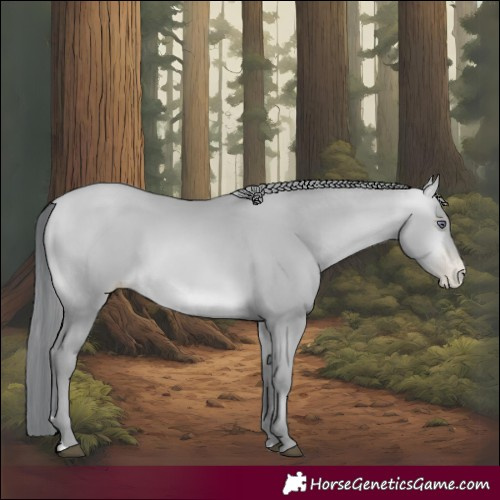 Horse Color:Brown Chinchilla Pearl
