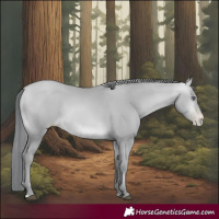Horse Color:Brown Chinchilla Pearl 
