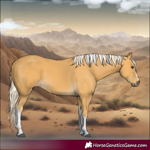 Horse Color:Palomino Tobiano 