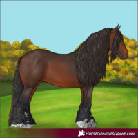 Horse Color:Brown 