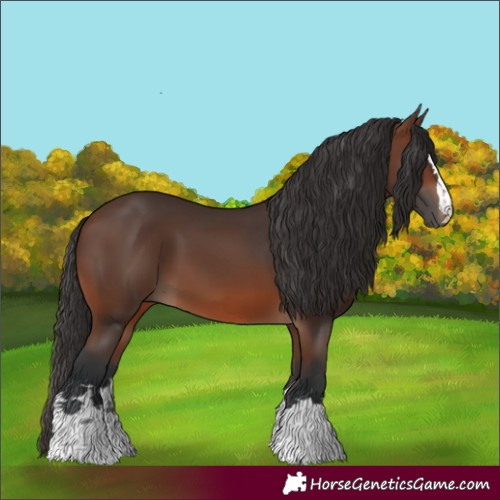 Horse Color:Brown 