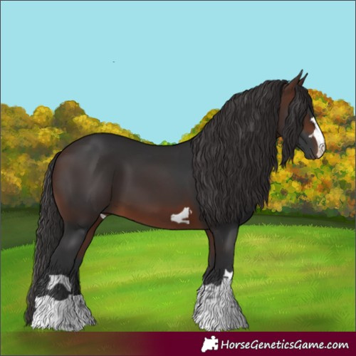 Horse Color:Brown 