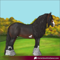 Horse Color:Brown 