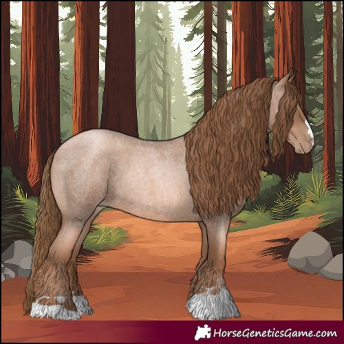 Horse Color:Liver Red Roan Pearl