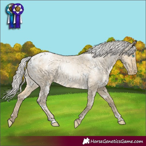 Horse Color:White Spotted Silver Buckskin Roan Pearl Dun Appaloosa