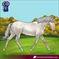 Horse Color:White Spotted Silver Buckskin Roan Pearl Dun Snowflake Varnish 
